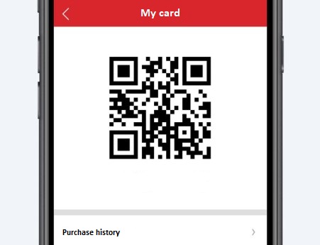 card4.jpg